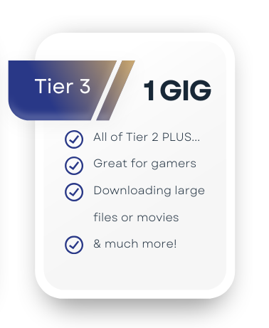fib 3